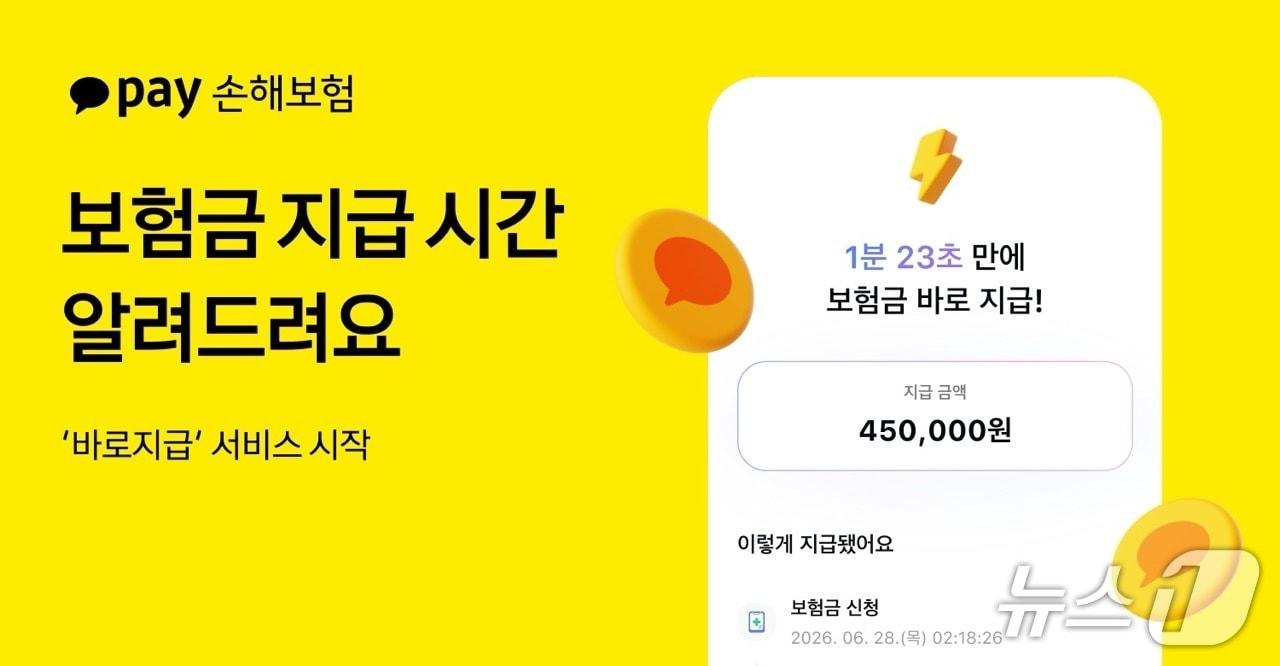 본문 이미지 - 카카오페이손해보험 제공