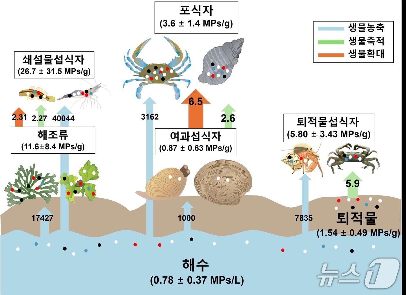 본문 이미지 - 연구 지역과 환경 시료의 미세플라스틱 재질 분포. 인천 무의도와 자월도의 조사 위치와 해수·퇴적물에서 검출된 미세플라스틱 재질의 비율.(인하대 제공. 재배포 및 DB금지)2026.8.18/뉴스1
