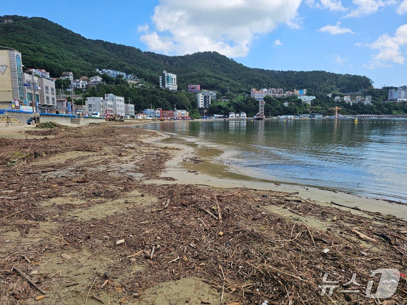 본문 이미지 - 19일 찾은 거제시 옥포2동 덕포해수욕장 백사장이 폭우에 떠밀려온 잡초로 아수라장이 돼 있다. 2026.8.19 ⓒ 뉴스1 박민석 기자
