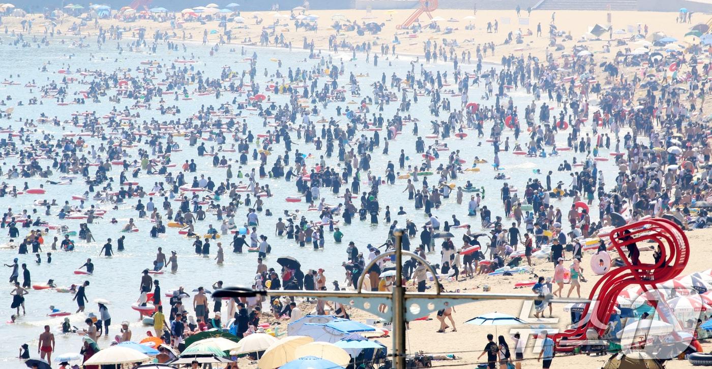 본문 이미지 - 기록적인 폭염 속 피서 절정기를 맞은 2일 부산 해운대해수욕장을 찾은 피서객들이 물놀이를 즐기며 더위를 식히고 있다. 2026.8.2 ⓒ 뉴스1 윤일지 기자