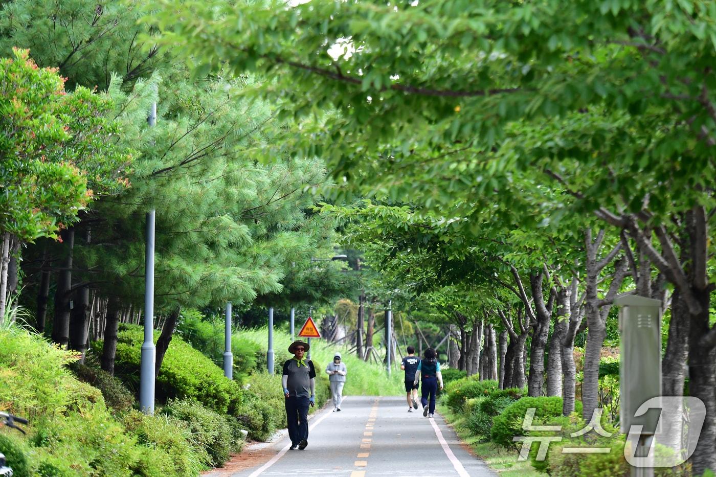 본문 이미지 - 20일 오전 경북 포항시 남구 대잠동 철길숲에서 산책 나온 시민들이 우거진 나무 아래를 걷고 있다. 2026.8.20 ⓒ 뉴스1 최창호 기자