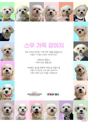 본문 이미지 - 신문전면광고(서울시 제공)