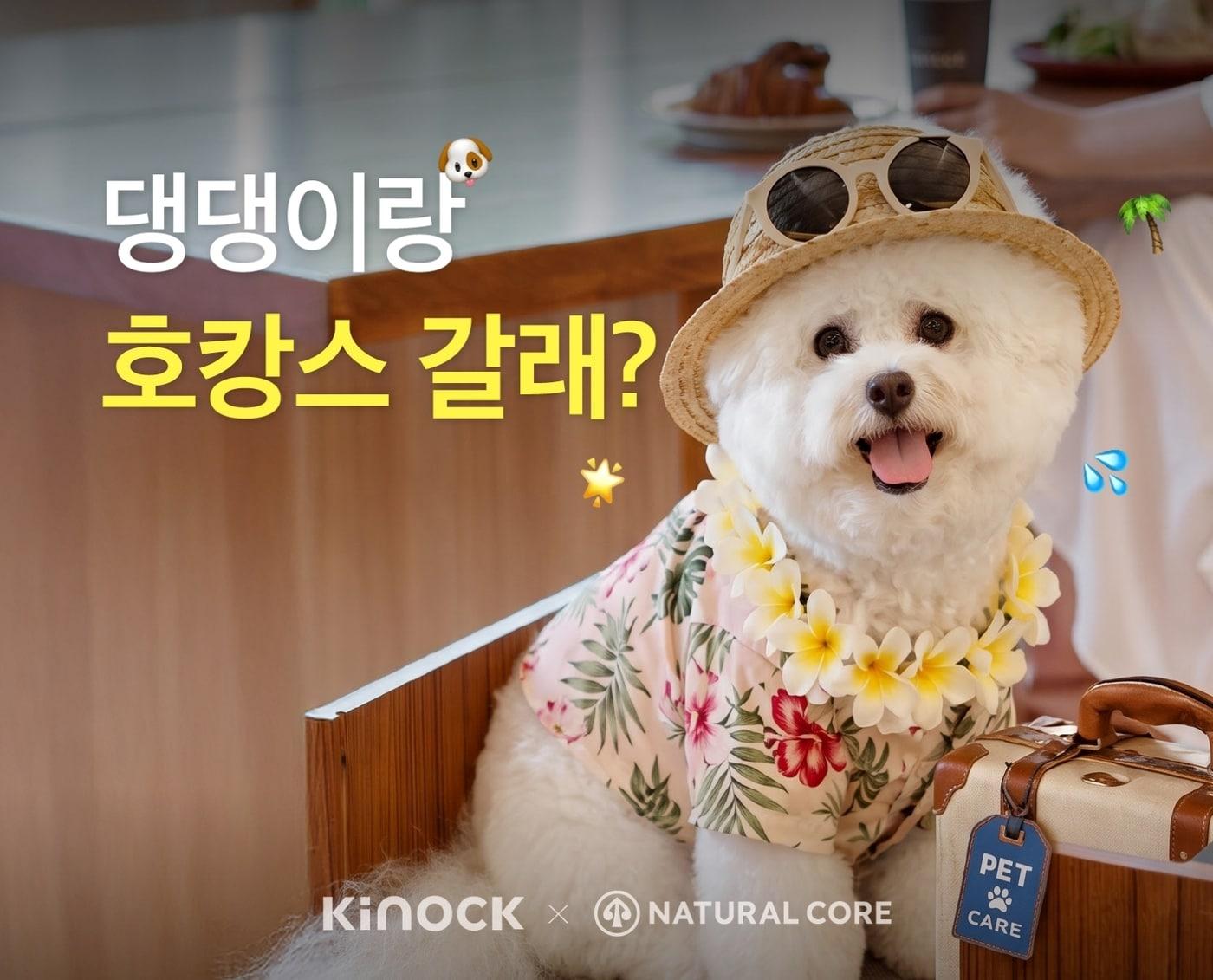 본문 이미지 - 네츄럴코어는 오는 26일 세계 개의 날을 맞아 교원그룹이 운영하는 펫 프렌들리 호텔 '키녹(KINOCK)'과 함께 반려동물 동반 숙박권 증정 이벤트를 진행한다(업체 제공). ⓒ 뉴스1