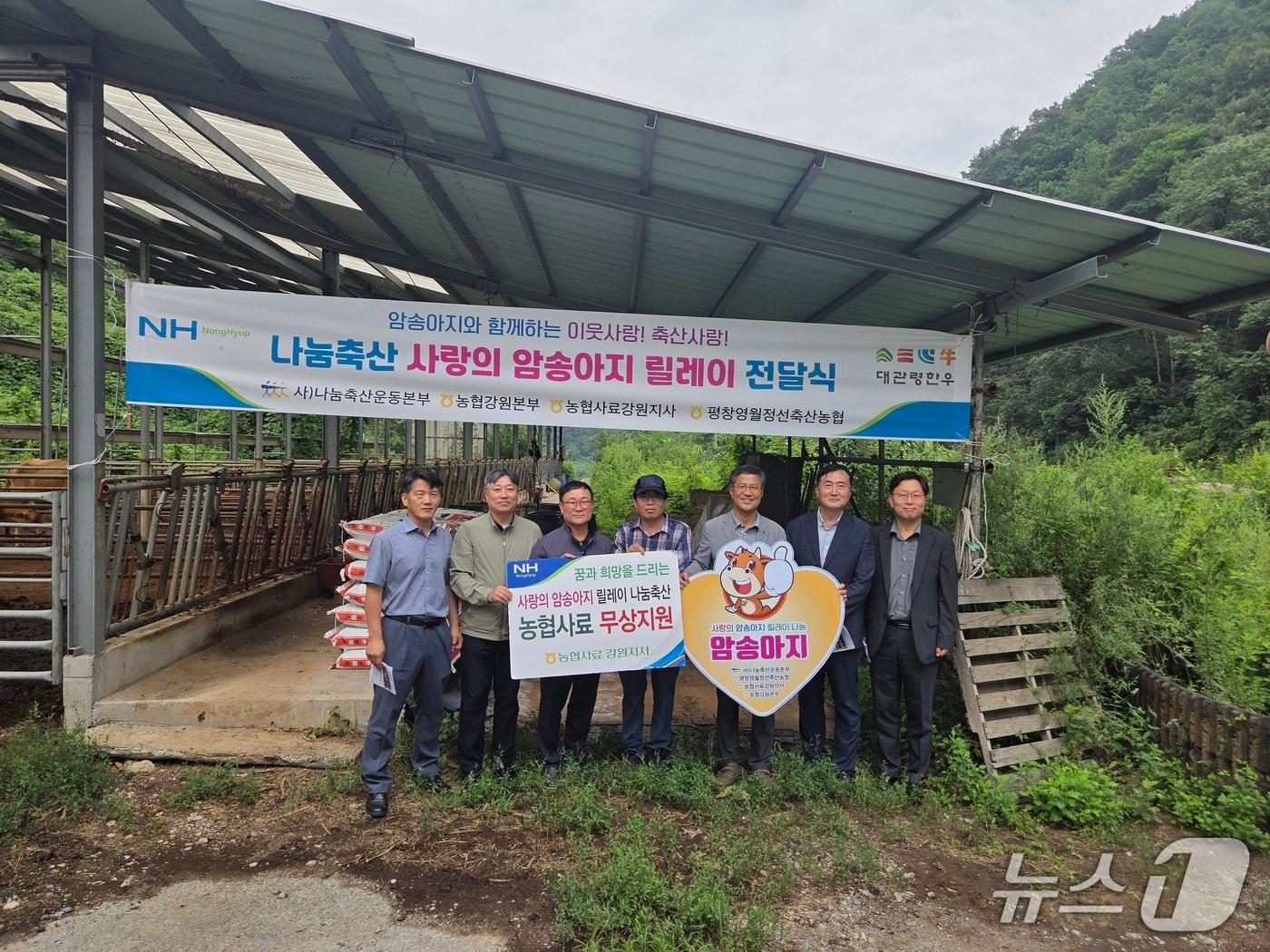 본문 이미지 - 사랑의 암송아지 릴레이 전달식.(농협 강원본부 제공. 재판매 및 DB금지)/뉴스1