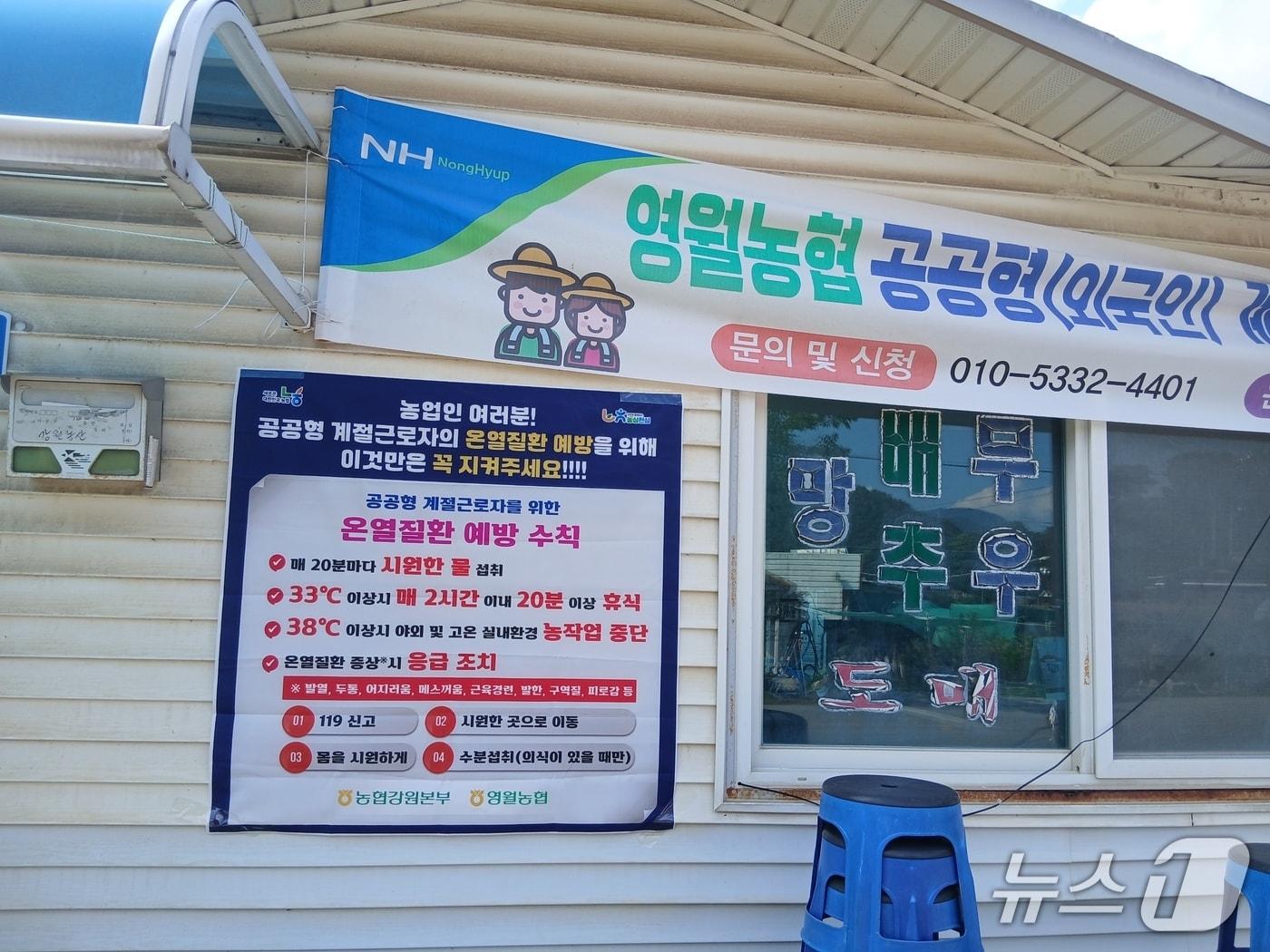 본문 이미지 - 영월농협, 온열질환 예방 수칙 안내문.(농협 강원본부 제공. 재판매 및 DB금지)/뉴스1