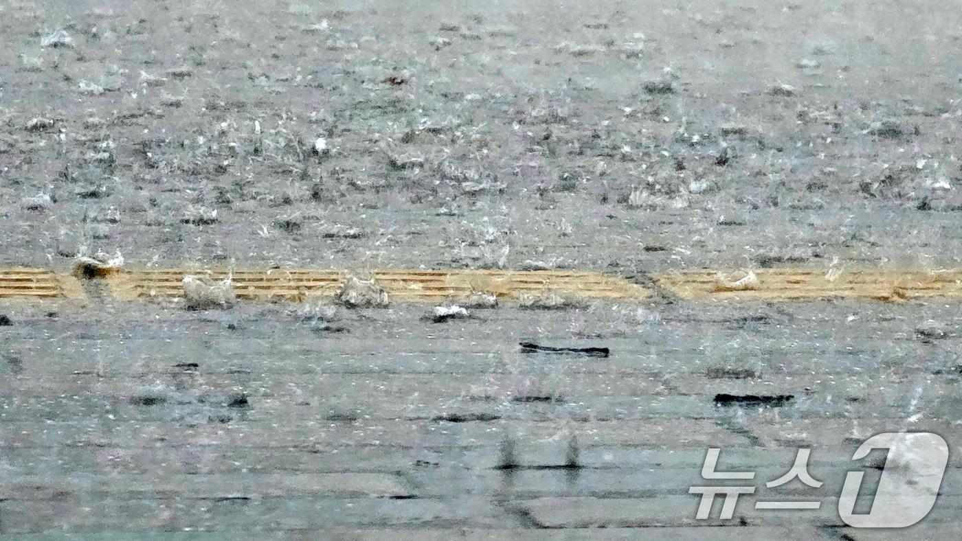 본문 이미지 - (사진은 기사 내용과 무관함) / 뉴스1 ⓒ News1