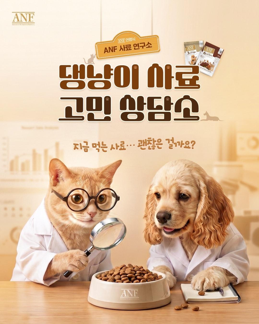 본문 이미지 - 우리와주식회사의 펫푸드 브랜드 'ANF'가 보호자들의 사료 고민을 듣는 'ANF 고민상담소' 이벤트를 진행한다(우리와 제공). ⓒ 뉴스1
