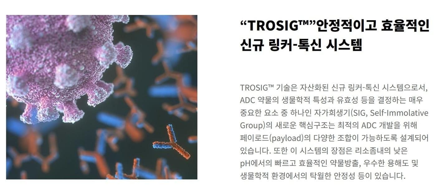 본문 이미지 - 트리오어 제공