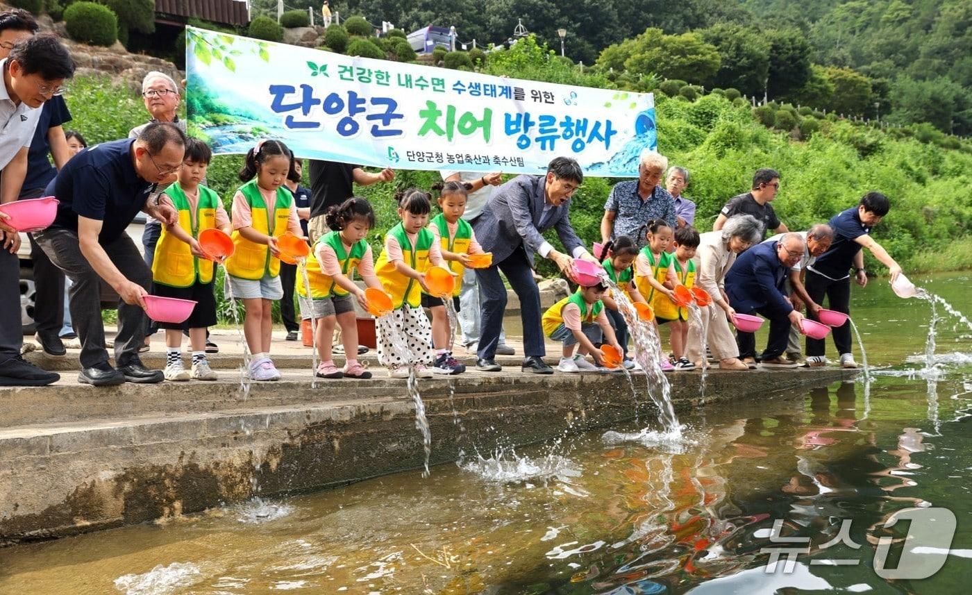 본문 이미지 - 단양군의 쏘가리 치어방류 행사. (단양군 제공. 재판매 및 DB금지) 