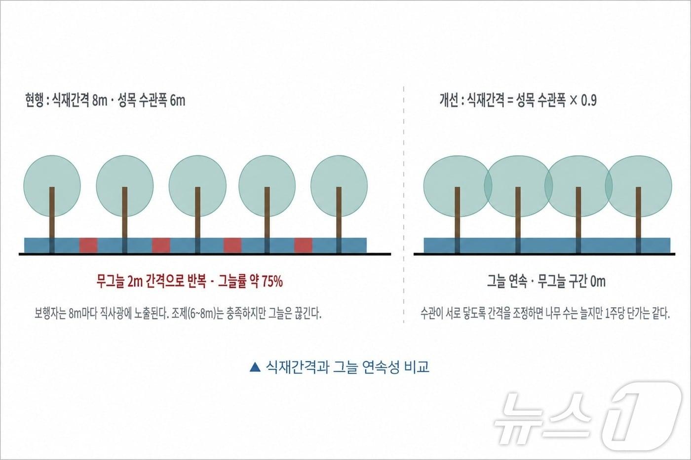 본문 이미지 - 경북연구원은 26일 폭염 피해 줄이려면 폭염 대비 도시설계, 가로수 공간부터 바꿔야한다. ⓒ 뉴스1 김대벽기자