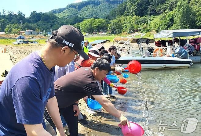 본문 이미지 - 지난 6월 옥천군 어업인단체 치어 방류. 자료사진 (옥천군 제공. 재판매 및 DB 금지)/뉴스1