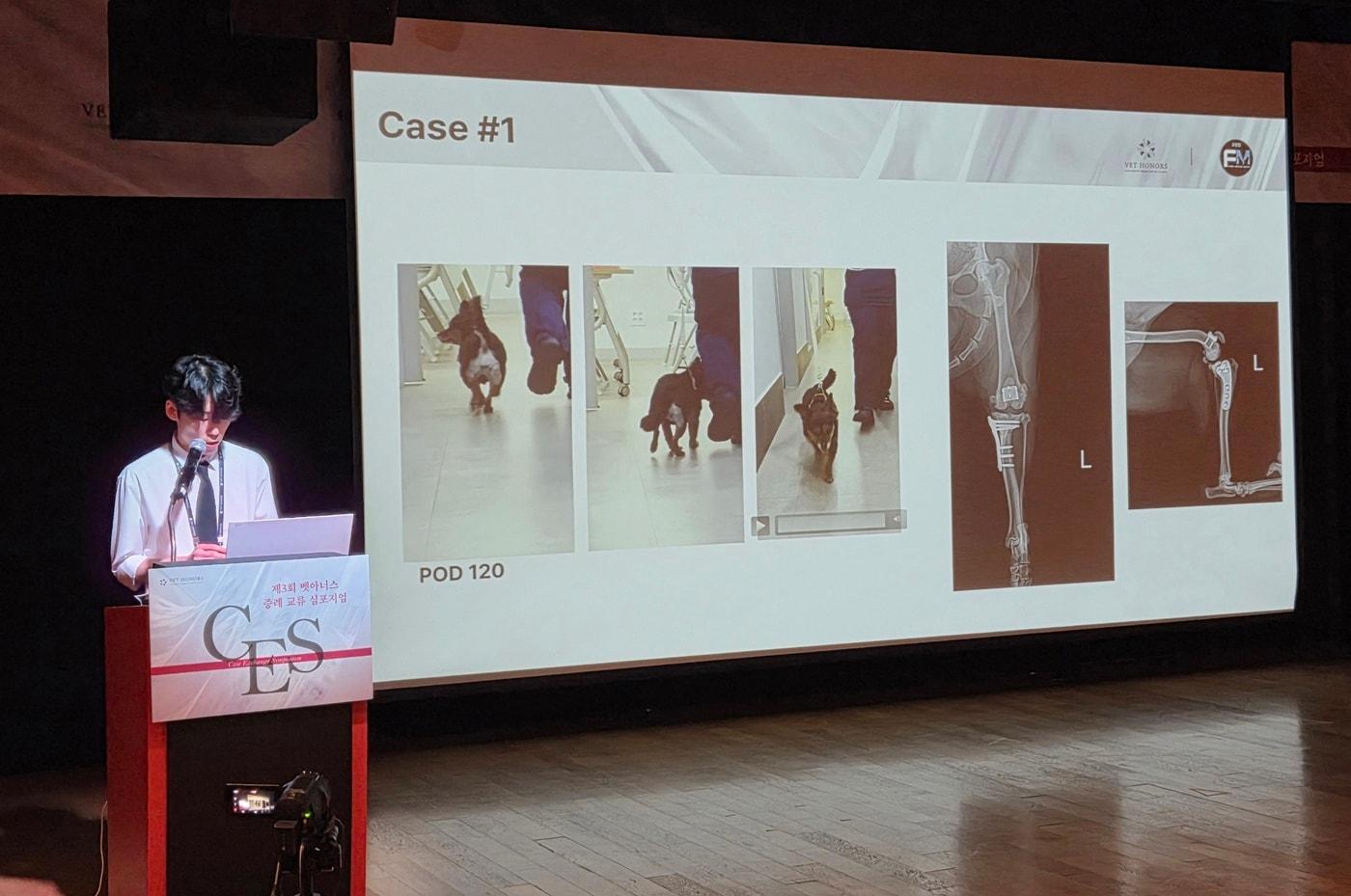 본문 이미지 - 허태희 FM동물메디컬센터 고양점 수의사가 벳아너스 증례 교류 심포지엄에서 '슬개골 활차구 치환술'을 주제로 발표하고 있다. ⓒ 뉴스1 한송아 기자
