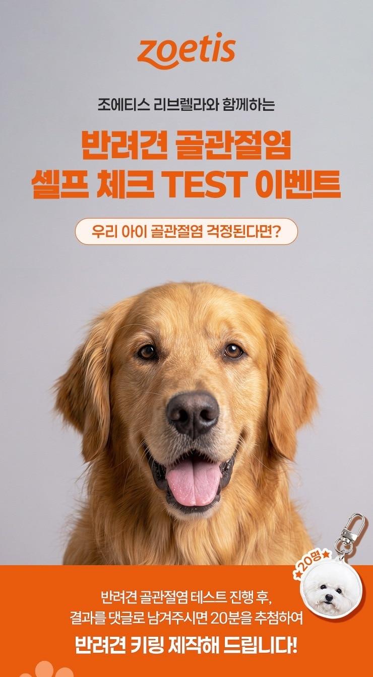 본문 이미지 - 한국조에티스는 반려견 커뮤니티 '강사모'에서 오는 9월 6일까지 '반려견 골관절염 셀프 체크 테스트 이벤트'를 진행한다(업체 제공). ⓒ 뉴스1