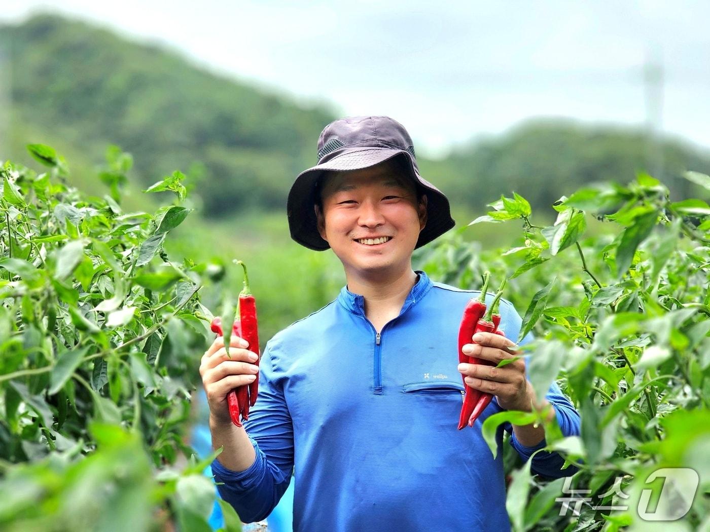 본문 이미지 - 괴산청결고추 품평회서 대상을 받은 장연면 이상규 씨.(괴산군 제공. 재판매 및 DB금지)/뉴스1