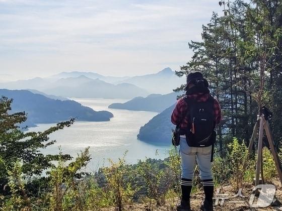 본문 이미지 - 충주 계명산 임도에서 바라본 충주호.(자료사진)