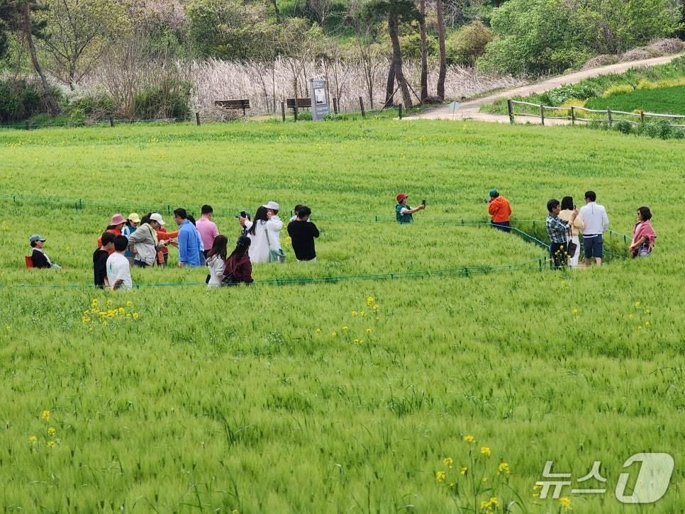 본문 이미지 - 전북 고창군이 추진하고 있는 '반띵여행'이 지역경제에 활력을 불어 넣고 있다.(고창군 제공. 재판매 및 DB금지)