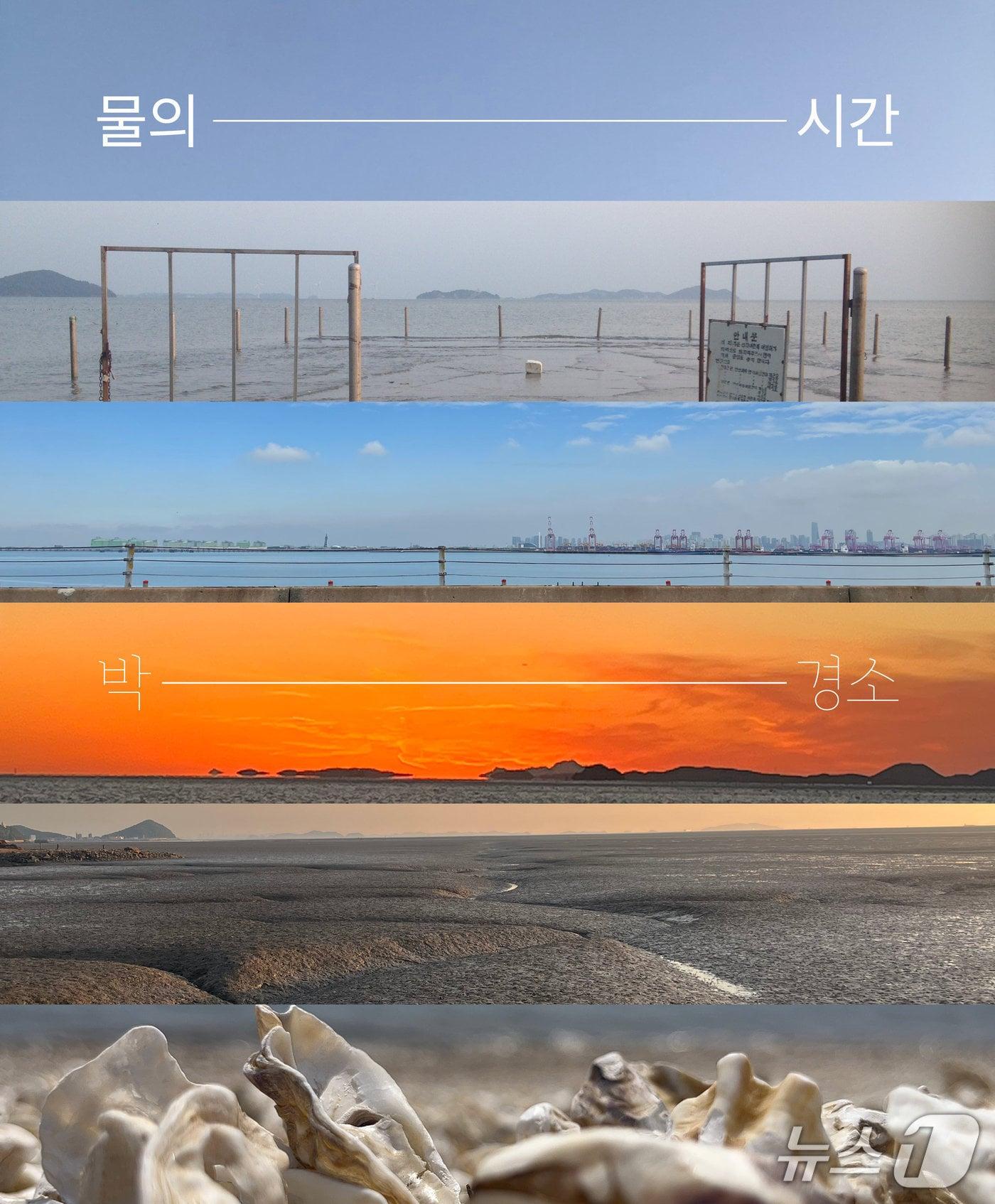 본문 이미지 - 가야금 연주자 겸 작곡가 박경소가 경기 서해의 물때와 풍경을 음악으로 풀어낸 신작 '물의 시간'을 9월 18일부터 19일까지 양일간 시흥 맑은물상상누리 내 비-포어(Be, Fore)에서 초연한다.