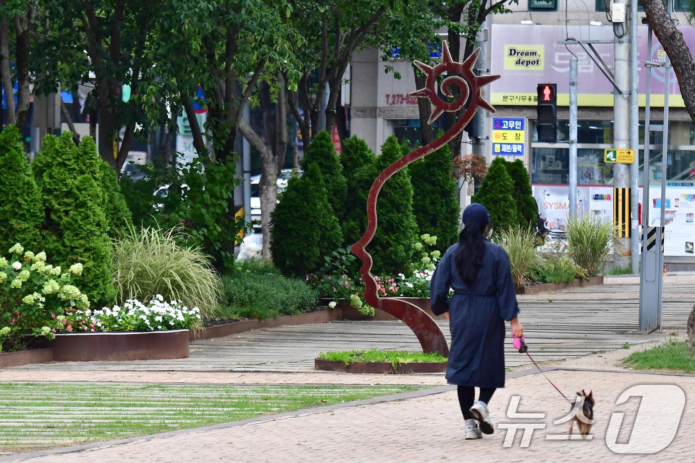 본문 이미지 - 반려견과 산책하는 시민.(뉴스1 dB)