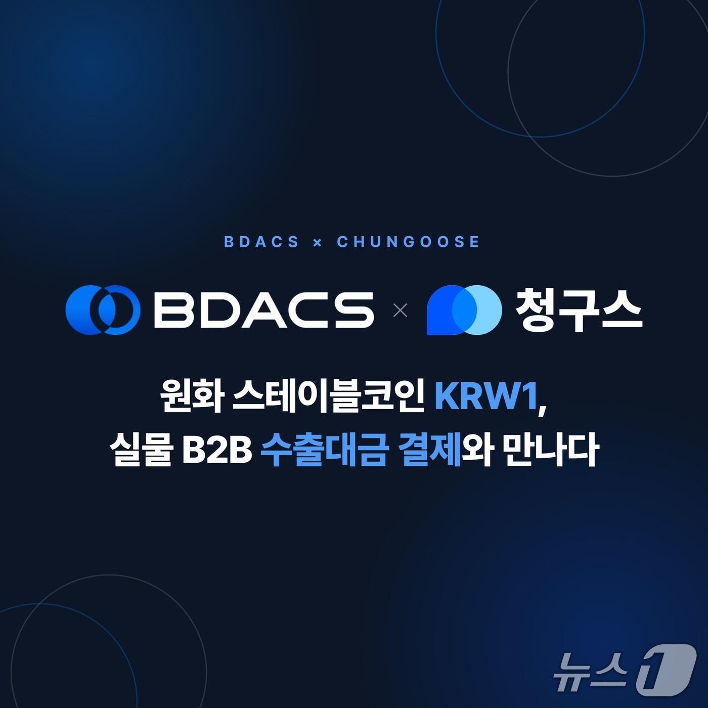 본문 이미지 - (비댁스 제공.) 