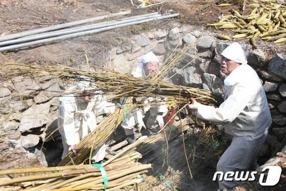 본문 이미지 - 강원특별자치도 무형문화재 제34호 평창방림삼베민속 자료사진. (재판매 및 DB금지) /뉴스1