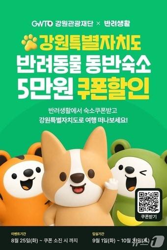 본문 이미지 - 반려동물 동반 관광객 숙박 할인 이벤트.(강원관광재단 제공. 재판매 및 DB금지)/뉴스1