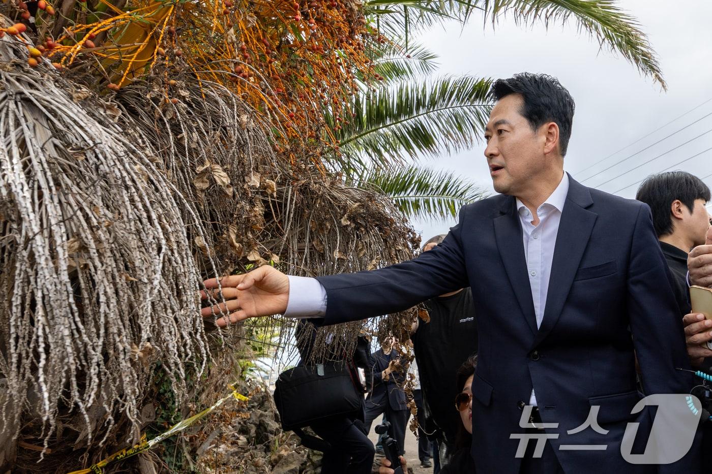 본문 이미지 - 장동혁 국민의힘 대표가 28일 제주시 한림읍을 찾아 실종신고 허위 종결 사건 피해자 장 모씨의 시신이 발견된 야자수숲 현장을 살펴보고 있다. 2026.8.28 ⓒ 뉴스1 안은나 기자