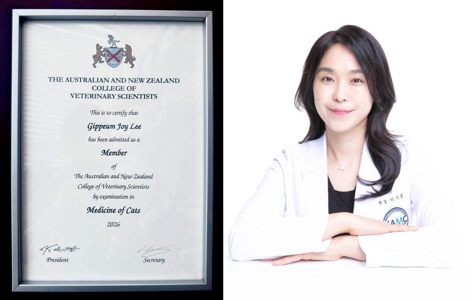 본문 이미지 - 이기쁨 고려동물메디컬센터 원장은 한국 수의사 최초로 고양이의학회원자격시험에 합격했다. ⓒ 뉴스1