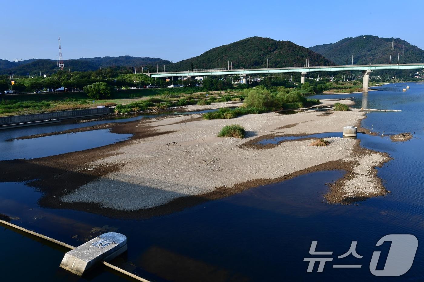 본문 이미지 - 3일 오전 가뭄 장기화로 경북 포항시 남구 연일읍 형산강 상류 일부가 바닥을 드러냈다. 2026.8.3 ⓒ 뉴스1 최창호 기자