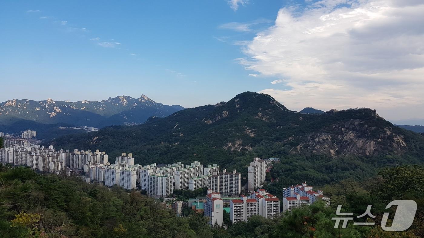 본문 이미지 - 서울 안산에서 바라본 도시숲 경관 (산림청 국립산림과학원 제공. 재판매 및 DB금지)/뉴스1
