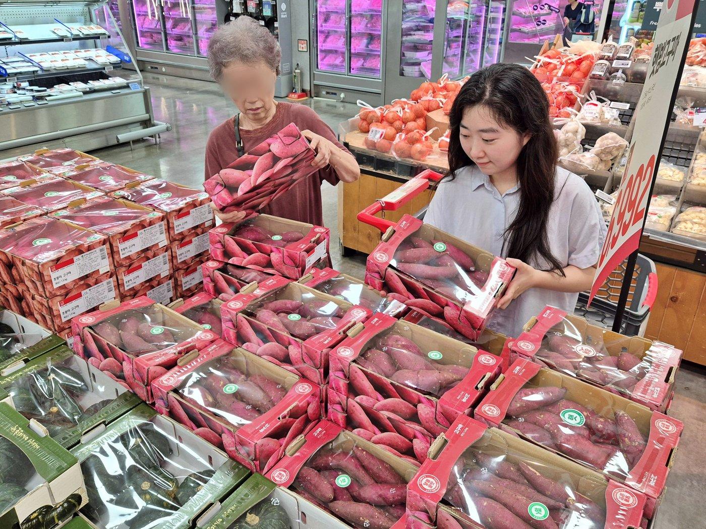 본문 이미지 - 3일 서울시 송파구에 위치한 롯데마트 제타플렉스 잠실점 고구마 매대에서 '햇고구마'를 구매하는 고객들의 모습.(롯데마트 제공)