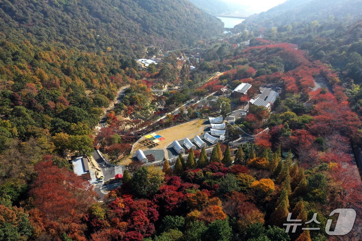 본문 이미지 - '월아산 숲속의 진주' 전경(진주시 제공. 재판매 및 DB금지).