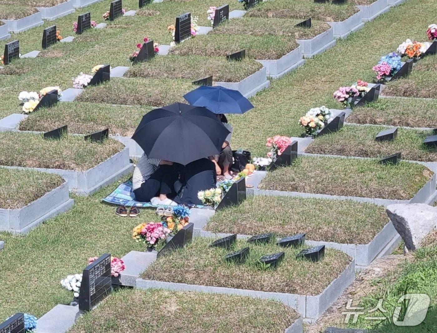 본문 이미지 - 강릉 청솔공원 성묘객 자료사진.(뉴스1 DB)