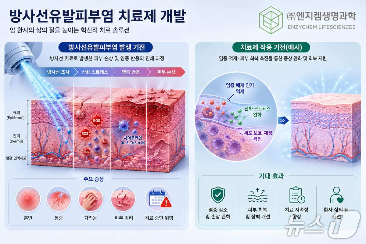 본문 이미지 - 방사선유발피부염 치료제 이미지 (엔지켐생명과학 제공)