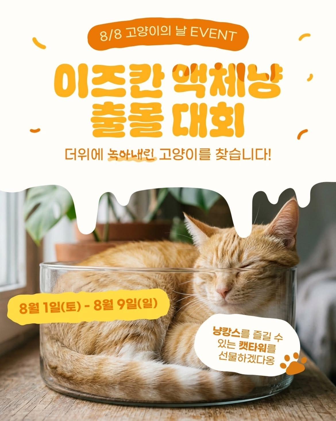 본문 이미지 - 생육 펫푸드 브랜드 '이즈칸'이 세계 고양이의 날을 맞아 '액체냥 출몰 대회' 소비자 참여 이벤트를 진행한다(우리와 제공). ⓒ 뉴스1