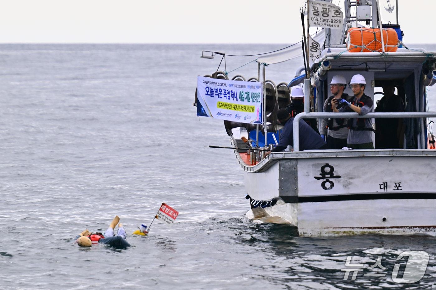 본문 이미지 - 해상 실종자 이동 경로 예측 해양 조사.(속초시 제공, 재판매 및 DB 금지) 2026.8.4/뉴스1