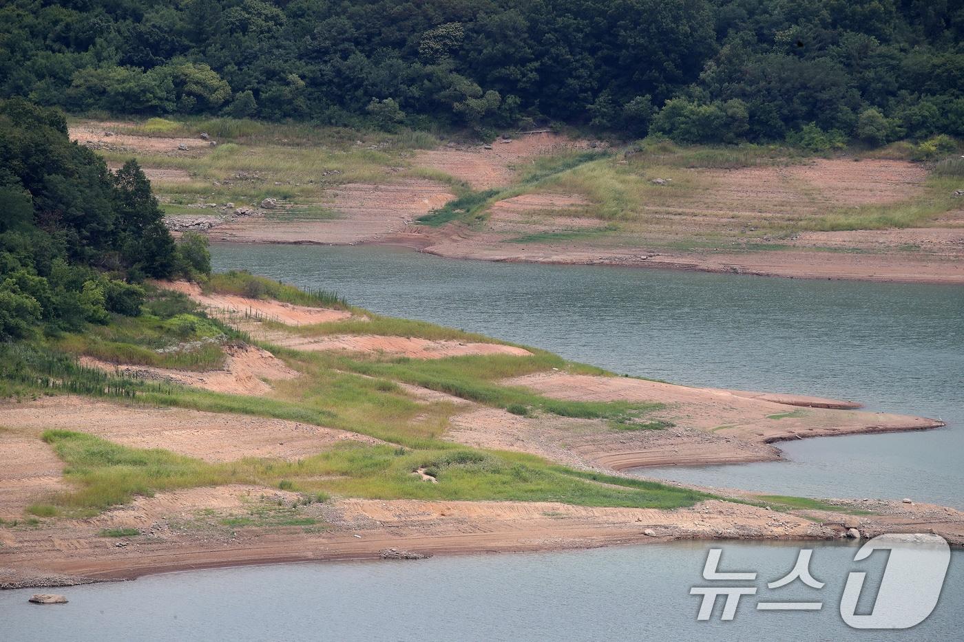 본문 이미지 - 계속된 폭염과 가뭄으로 경북 청도군 운문댐 곳곳이 바닥을 드러내고 있다. 1일 현재 운문댐의  저수율은 27.6%로 지난해 이맘 때 62%의 절반에도 못 미친다. ⓒ News1 공정식 기자