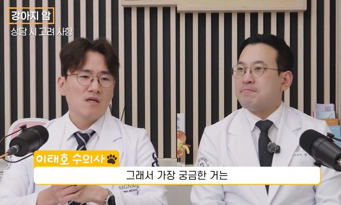 본문 이미지 - 시그니처동물의료센터 이태호 원장(왼쪽)과 송우진 원장이 유튜브에 출연해 '강아지 암 삶의 질을 지키면서 오래사는 방법'을 주제로 정보를 전했다(유튜브 채널 '수의사 이태호' 갈무리). ⓒ 뉴스1