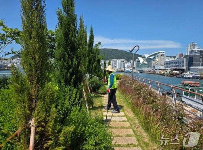 본문 이미지 - 7월 16일 부산 중구 유라리광장에서 화단 급수 작업이 진행되고 있다.(부산시 제공. 재판매 및 DB금지)