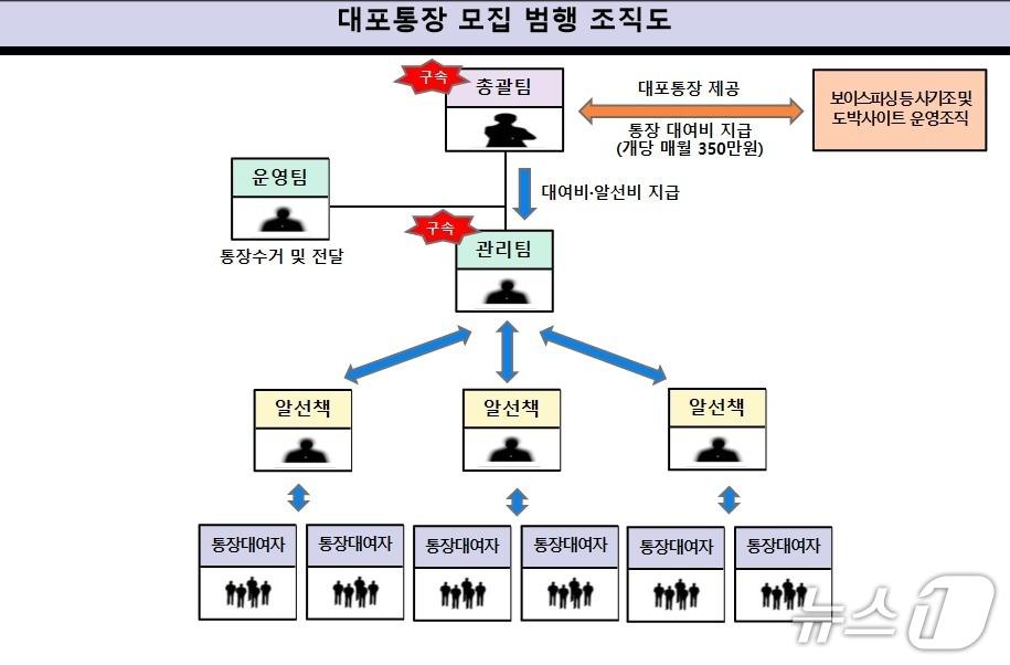본문 이미지 - 대포통장 모집 범행 조직도.(울산경찰청 제공. 재판매 및 DB금지)/뉴스1
