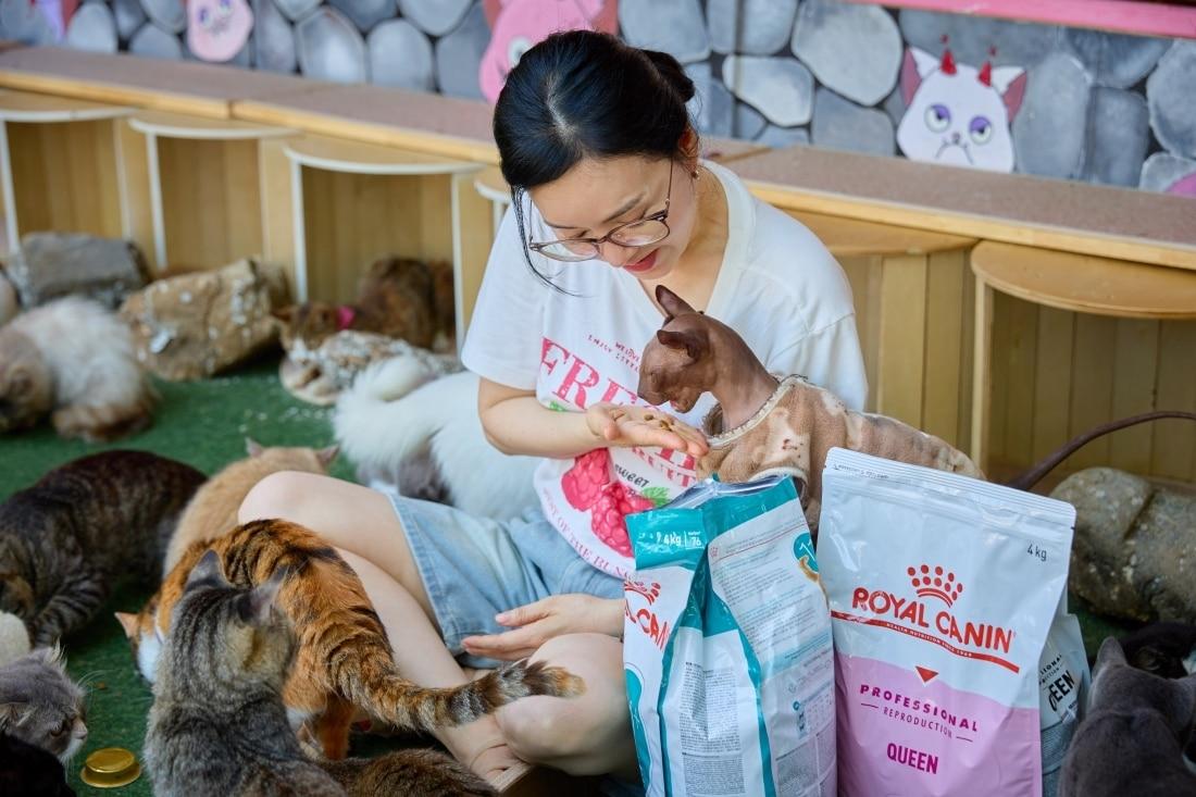 본문 이미지 - 로얄캐닌과 김정난은 고양이보호소에 사료를 기부했다(로얄캐닌 제공). ⓒ 뉴스1