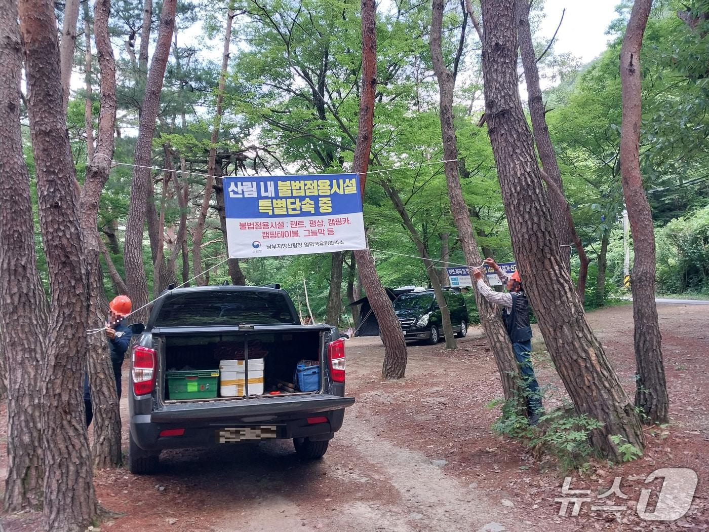 본문 이미지 - 산림청 영덕국유람관리소가 여름 휴가철을 맞아 오는 31일까지 산림 계곡에서의 불법 행위에 대한 집중 단속에 나선다.(영덕국유림관리소 제공, 재판매 및 DB금지) 2026.8.6/뉴스1 
