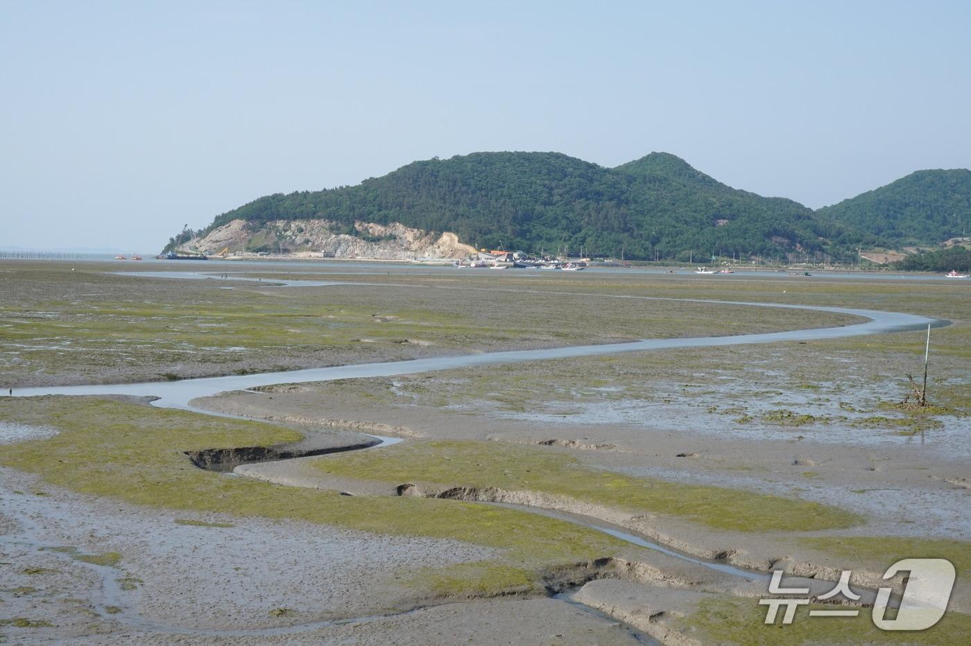 본문 이미지 - 진도군 대홍포 방조제 앞 갯벌. 2026.8.7ⓒ 뉴스1 조영석 기자 