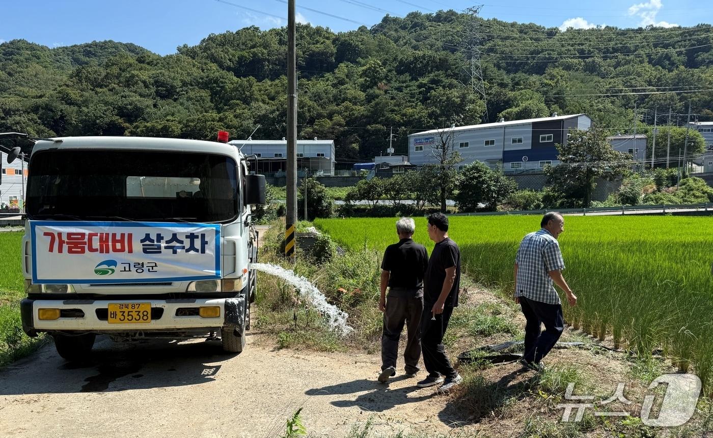 본문 이미지 - 경북 고령군이 6일 살수차를 동원해 논에 물을 대고 있다.(고령군 제공. 재판매 및 DB금지)/뉴스1