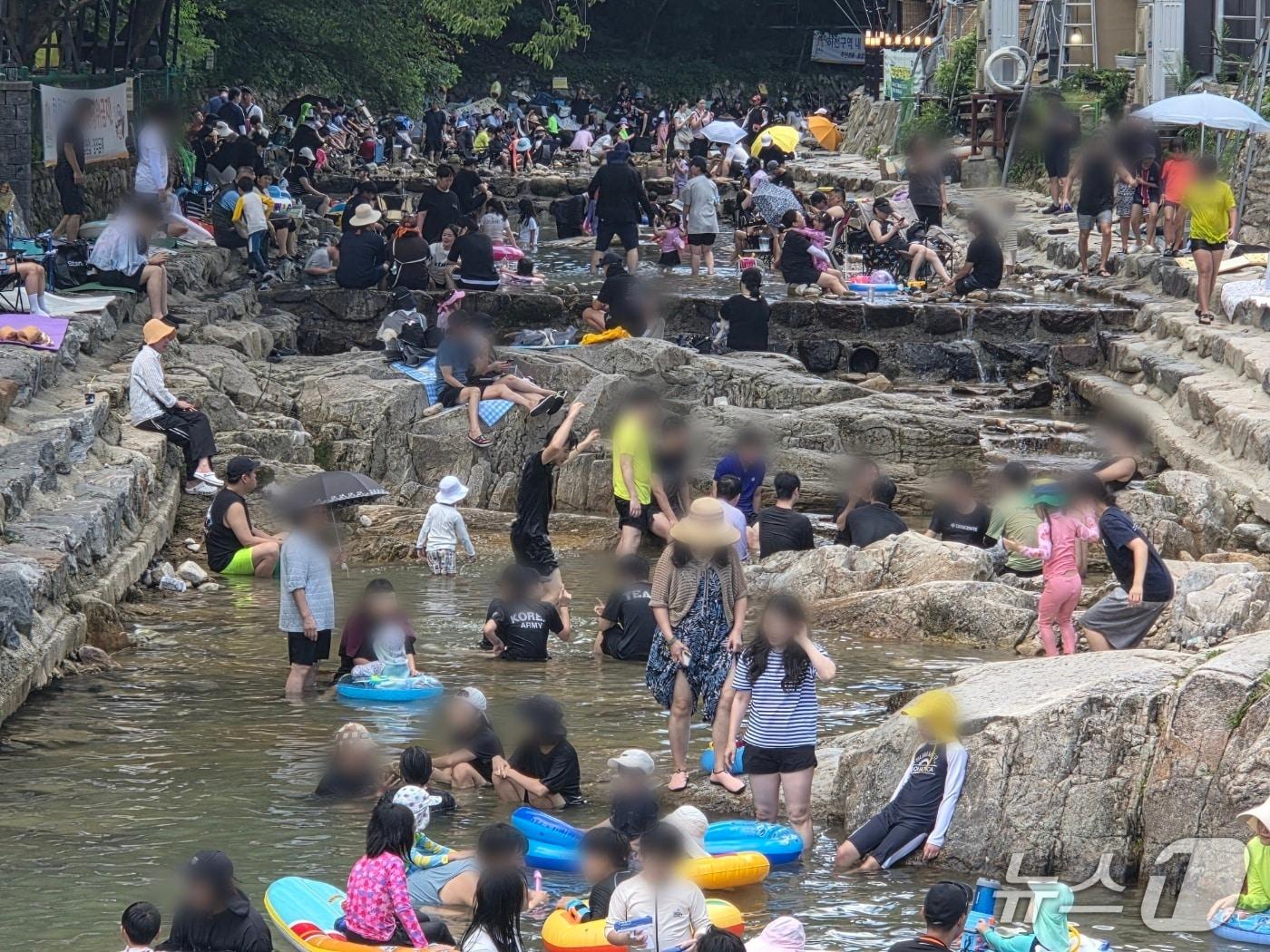 본문 이미지 - 낮 최고기온이 34도를 넘나드는 8일 오전 충남 공주 동학사 계곡에 모인 피서객들이 물놀이를 즐기고 있다. ⓒ 뉴스1 김종서 기자