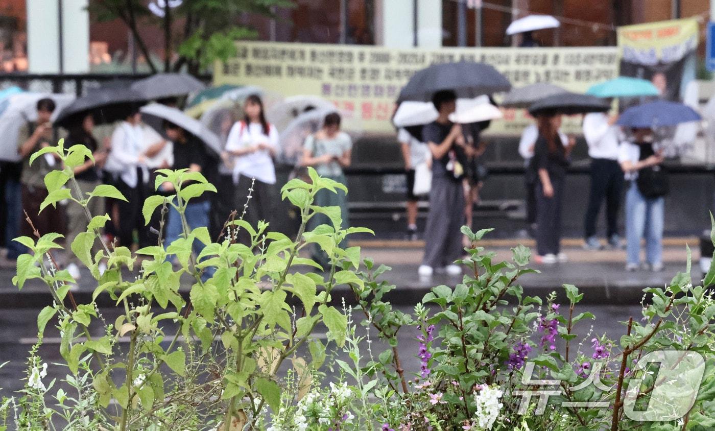 본문 이미지 - 중부지방을 중심으로 돌풍을 동반한 비가 내린 1일 오전 서울 종로구 광화문광장 일대에서 시민들이 우산을 쓴 채 발걸음을 옮기고 있다. 기상청은 이날 서울과 경기 일부 지역에 5~40㎜의 비가 내릴 것으로 예보했다. 2026.9.1 ⓒ 뉴스1 이종수 기자