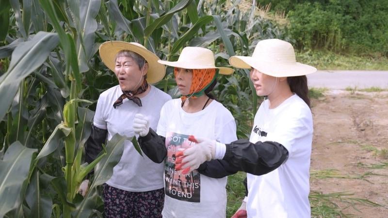본문 이미지 - KBS 1TV '황신혜의 같이 삽시다'