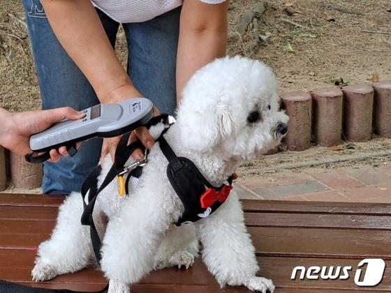 본문 이미지 - 내장형 등록 정보를 확인하는 모습(김해시 제공) ⓒ 뉴스1