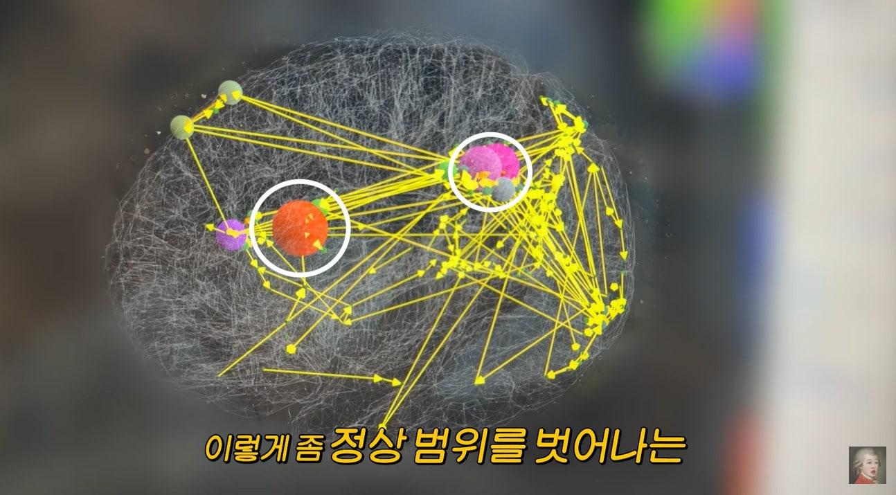 본문 이미지 - 유튜브 채널 '공부왕찐천재 홍진경' 캡처