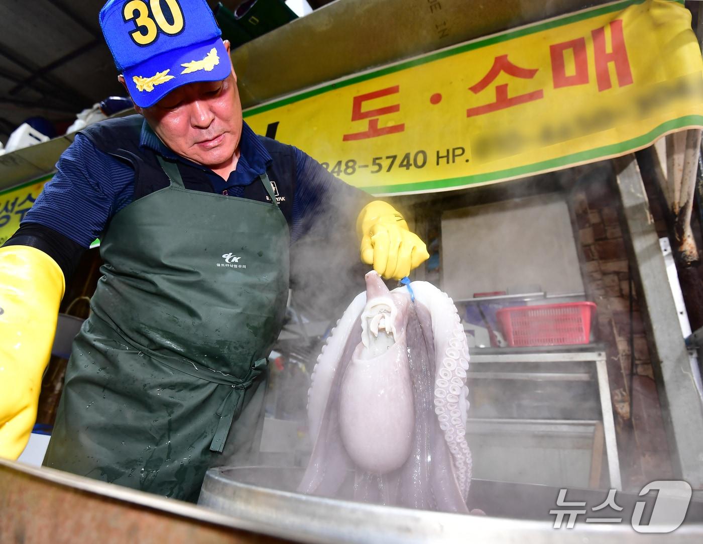 본문 이미지 - 추석 명절을 앞둔 13일 오전 경북 포힝시 죽도어시장 문어 골목에서 한 상인이 문어를 삶고 있다. 2026.9.13 ⓒ 뉴스1 최창호 기자