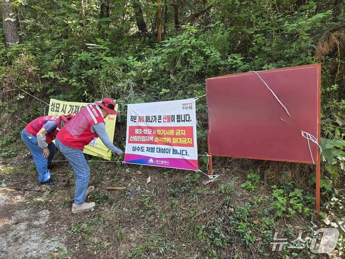 본문 이미지 - 산불 취약지역을 찾은 대구시 관계자들이 산불 예방 현수막을 설치하고 주변을 정리하고 있다. (대구시 제공, 재판매 및 DB 금지)